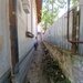 Parc Carol, strada Lanariei, Metrou Tineretului